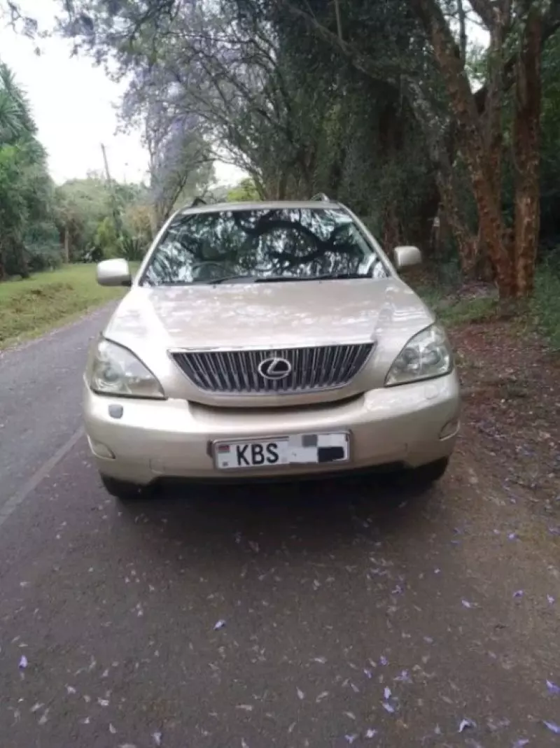 Lexus RX 300   - 2005