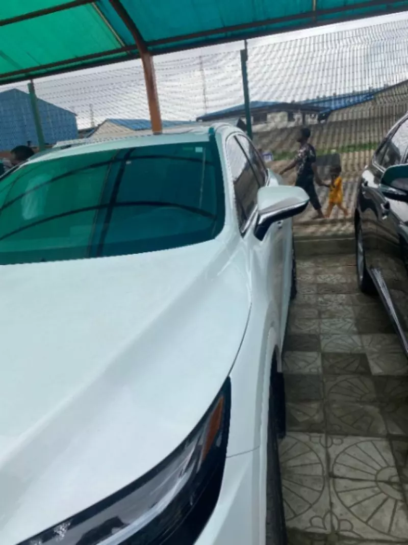 Lexus RX   - 2024