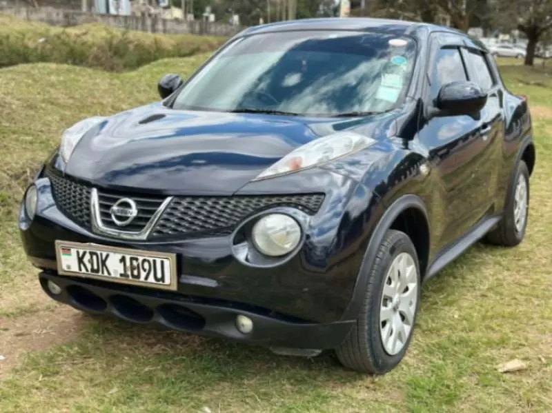 Nissan Juke   -