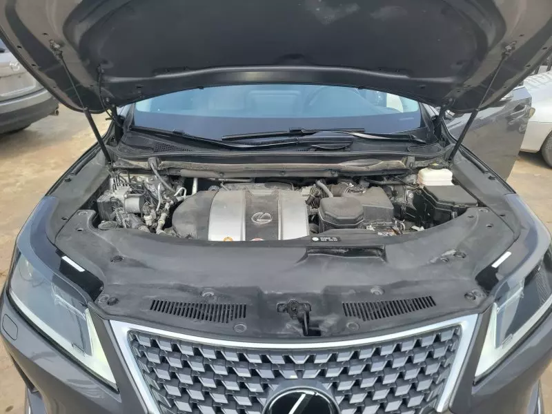 Lexus RX 350   - 2020