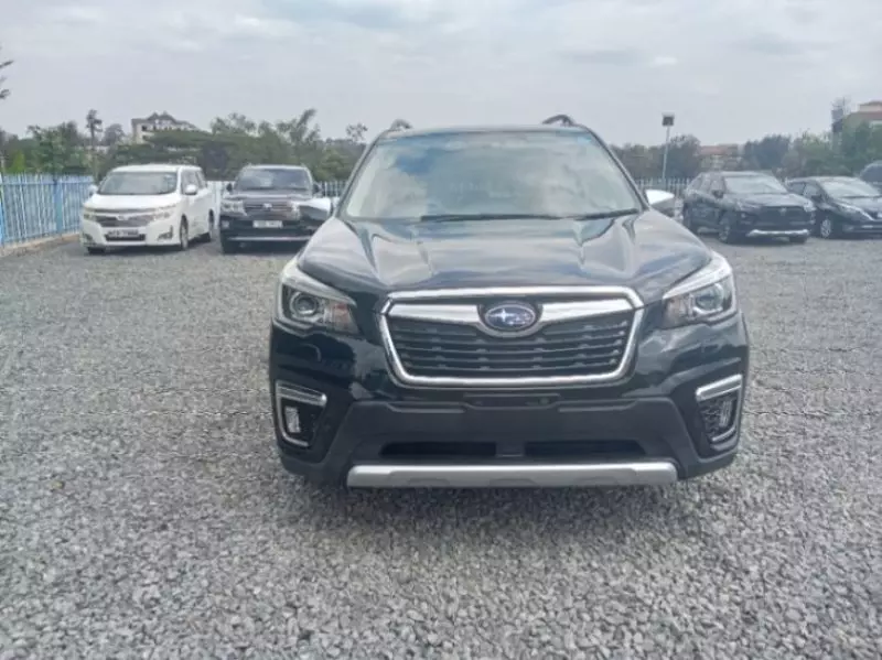 Subaru Forester   -