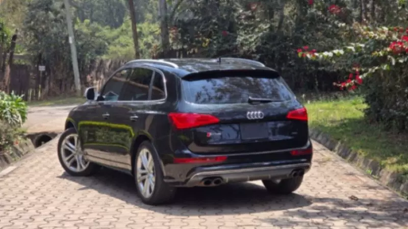 Audi SQ5   - 2015