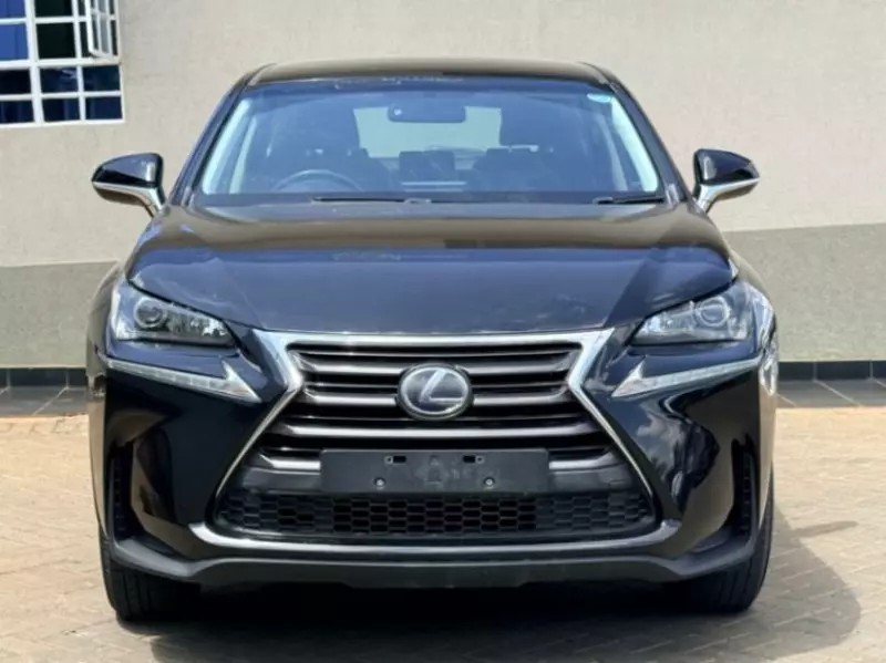 Lexus NX 300