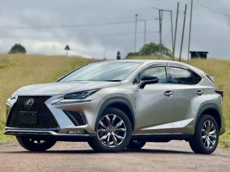 Lexus NX300h Hybrid   - 2018