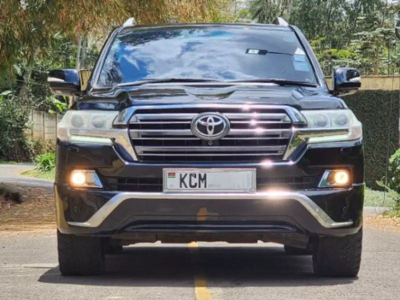 Toyota Land Cruiser   - 2010