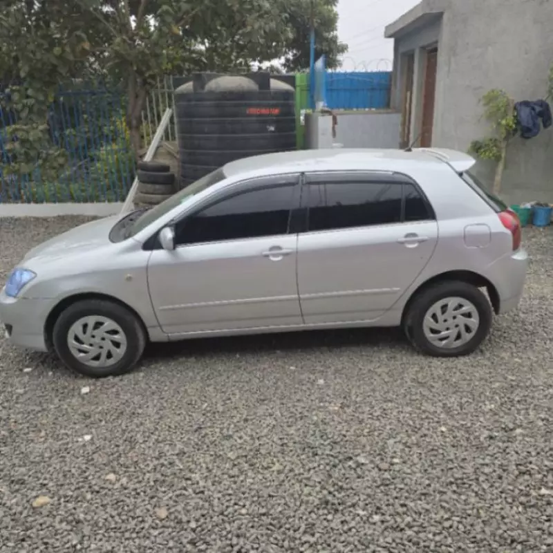 Toyota Allex    - 2005