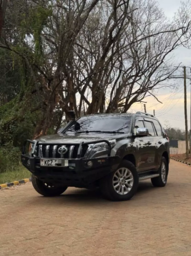 Toyota Land Cruiser   - 2013