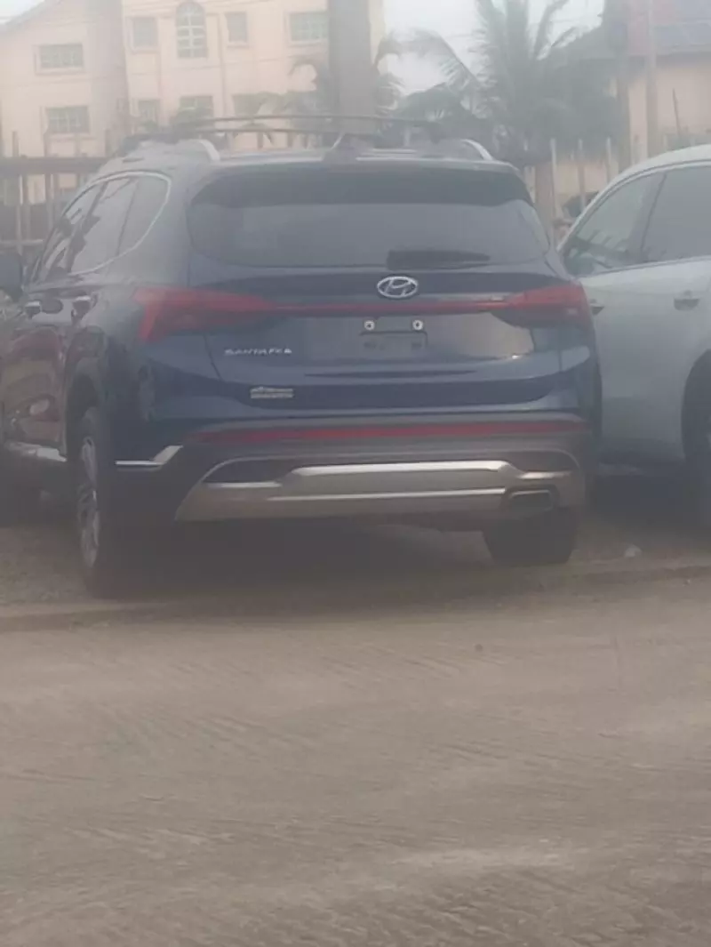 Hyundai Santa Fe - 2022