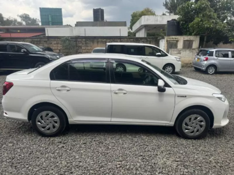 Toyota Axio    - 2019