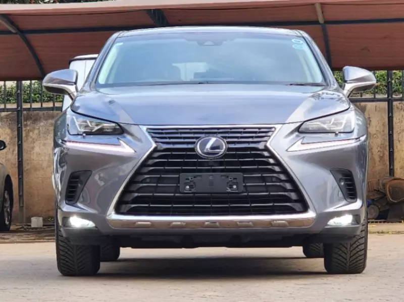 Lexus NX300h Hybrid   - 2018