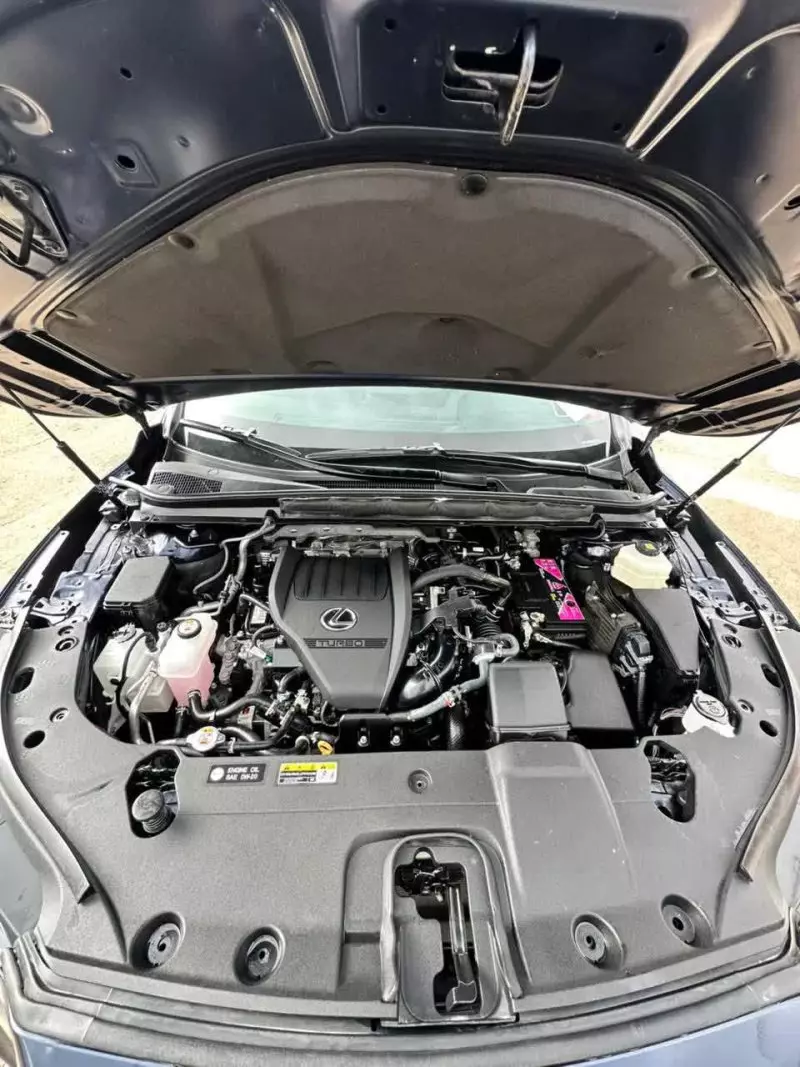 Lexus RX 350   - 2023
