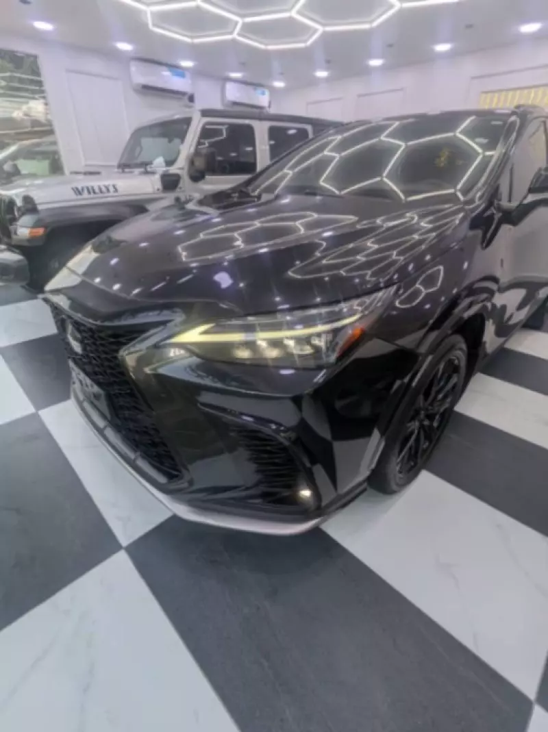 Lexus NX300h Hybrid