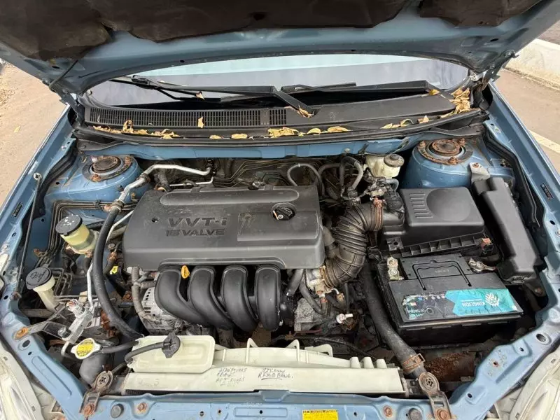 Toyota Matrix   -