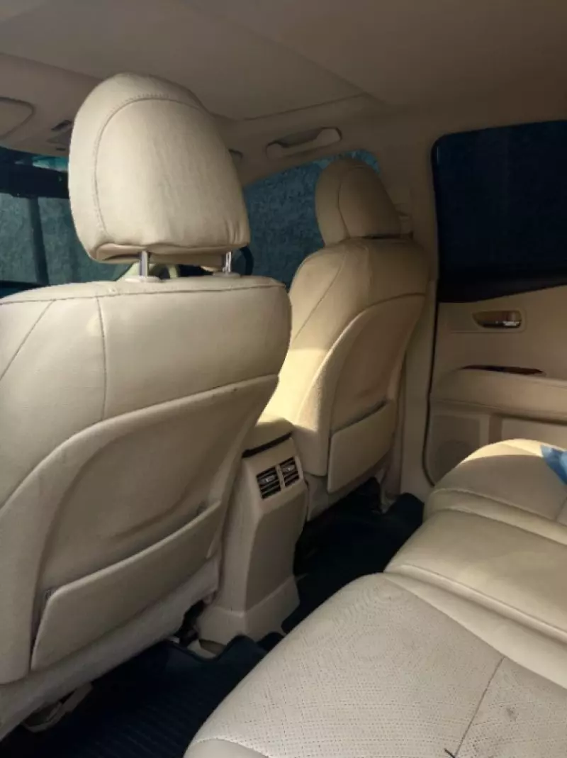 Lexus RX   - 2010