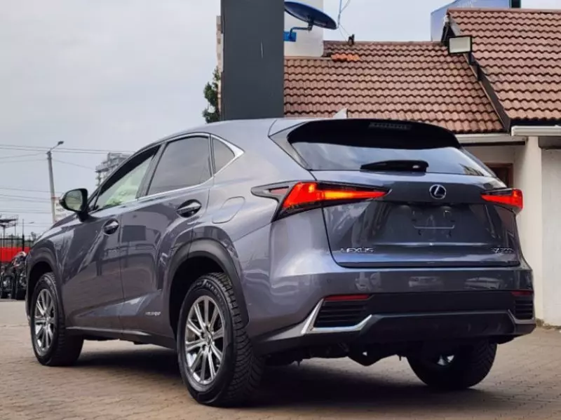 Lexus NX300h Hybrid   - 2018