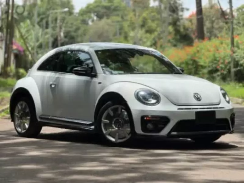 Volkswagen Beetle   - 2019
