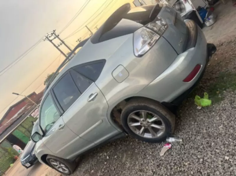 Lexus RX 330   - 2008