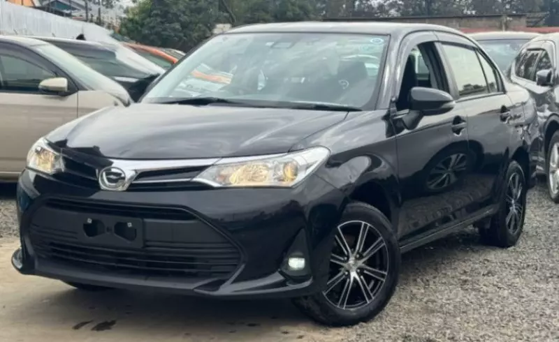 Toyota Axio    - 2019