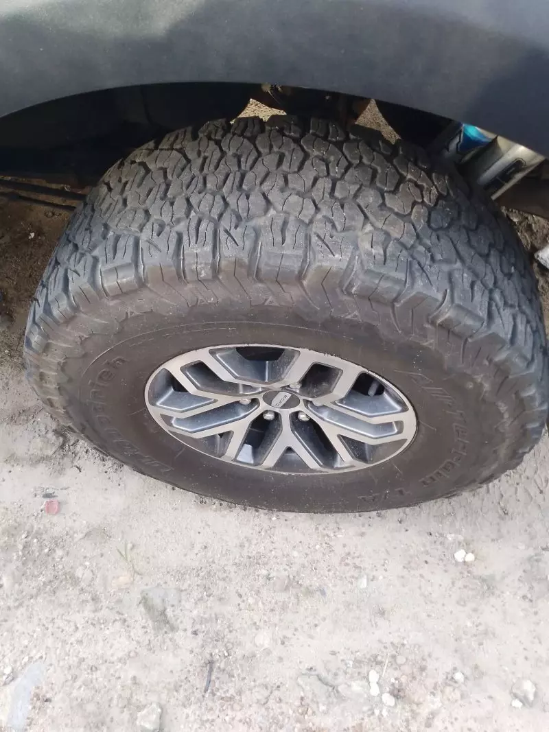 Ford Raptor   - 2019