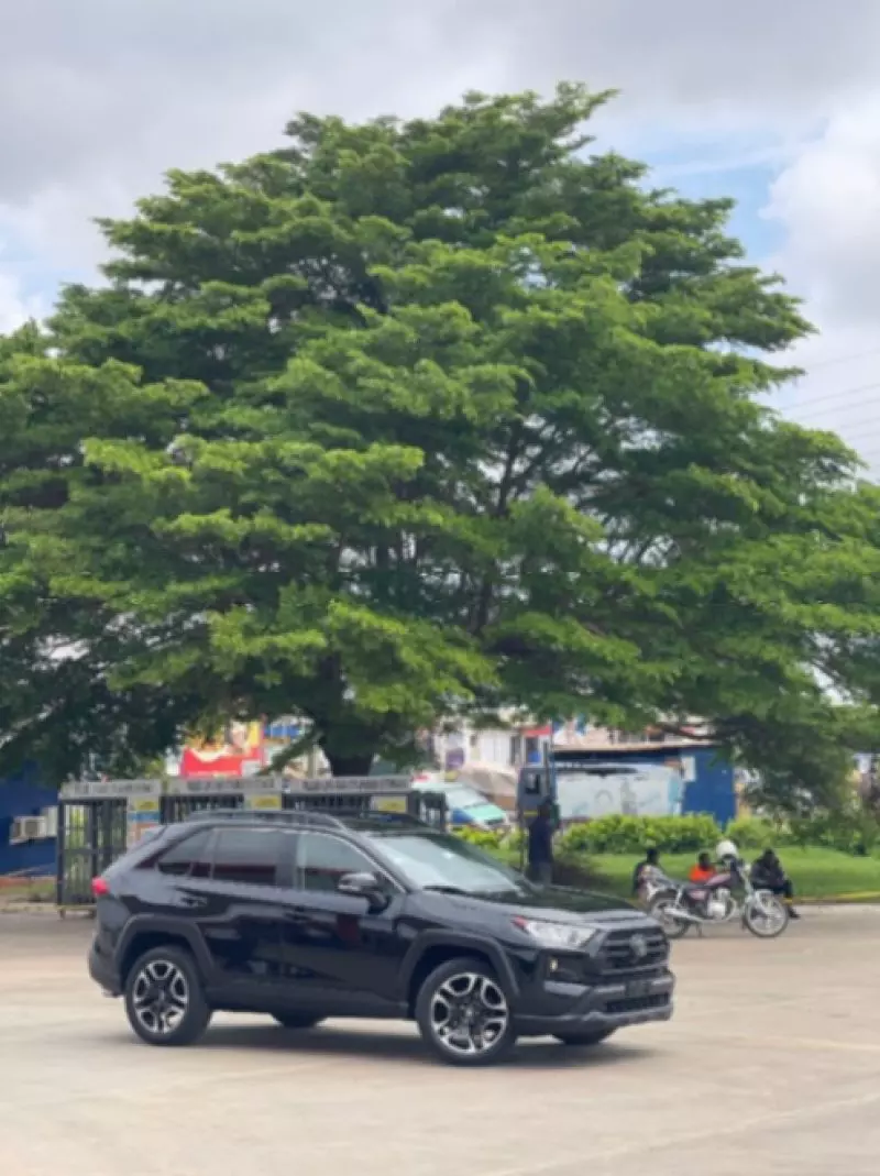 Toyota RAV4   - 2019