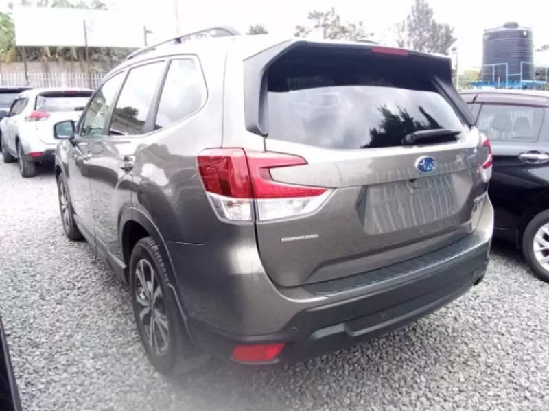 Subaru Forester   - 2019