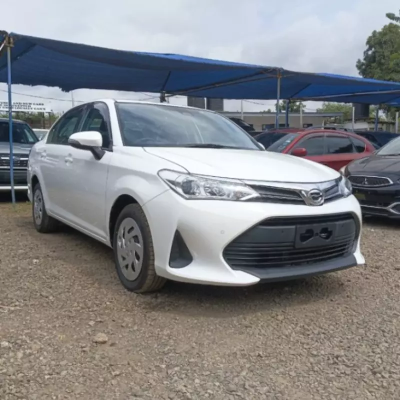 Toyota Axio    - 2019