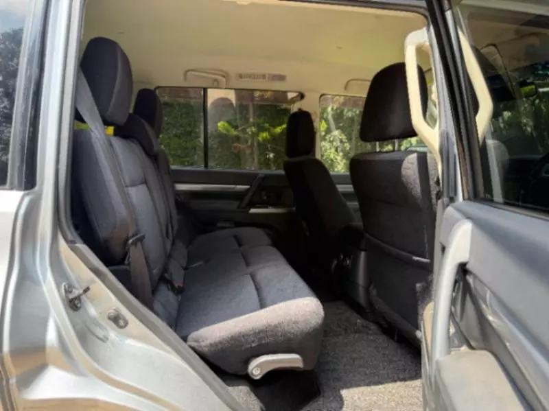 Mitsubishi Pajero   - 2018
