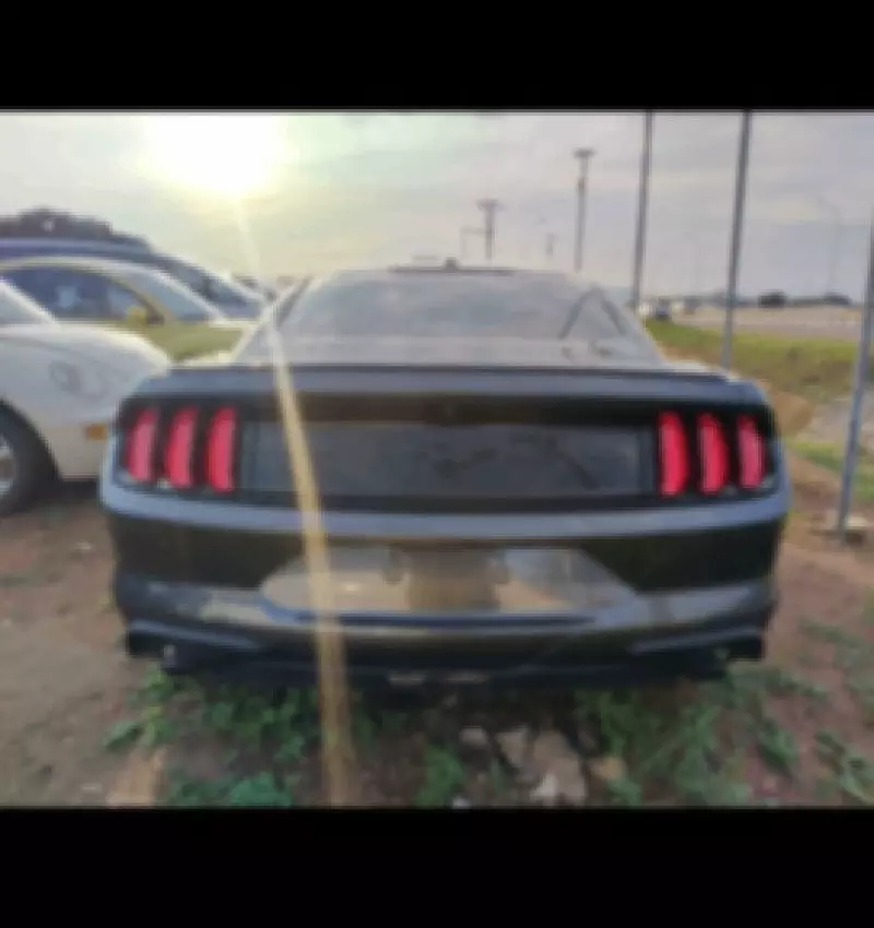 Ford Mustang - 2019