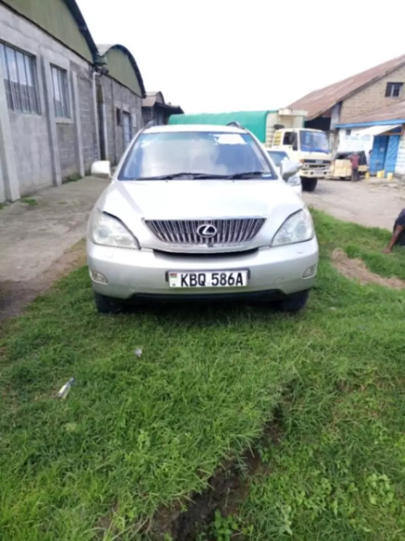 Lexus RX 300   - 2004