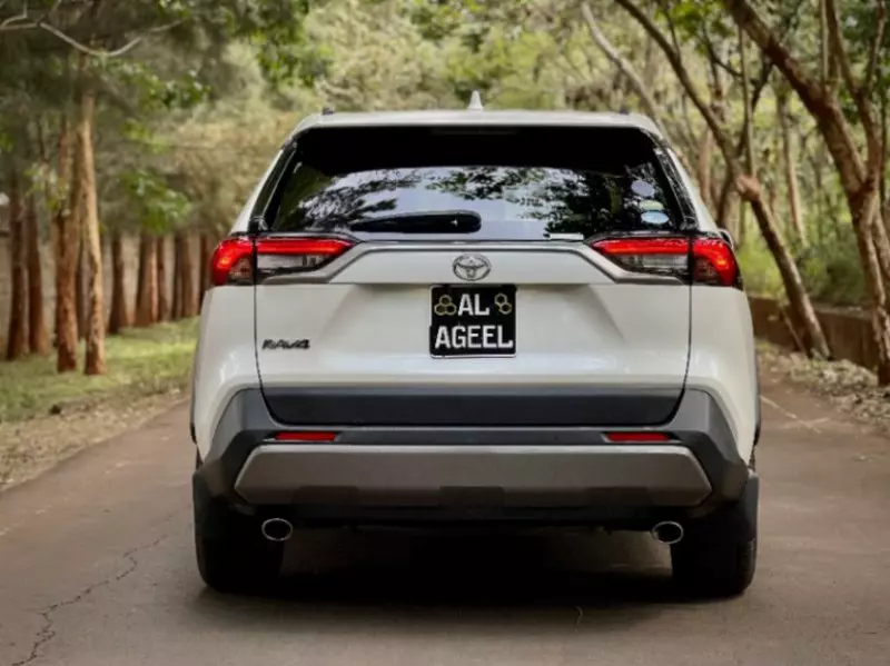 Toyota Rav4   - 2019