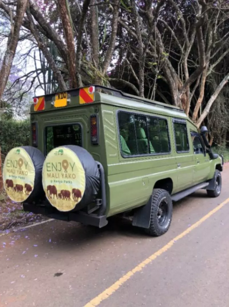 Toyota Land Cruiser   - 2009