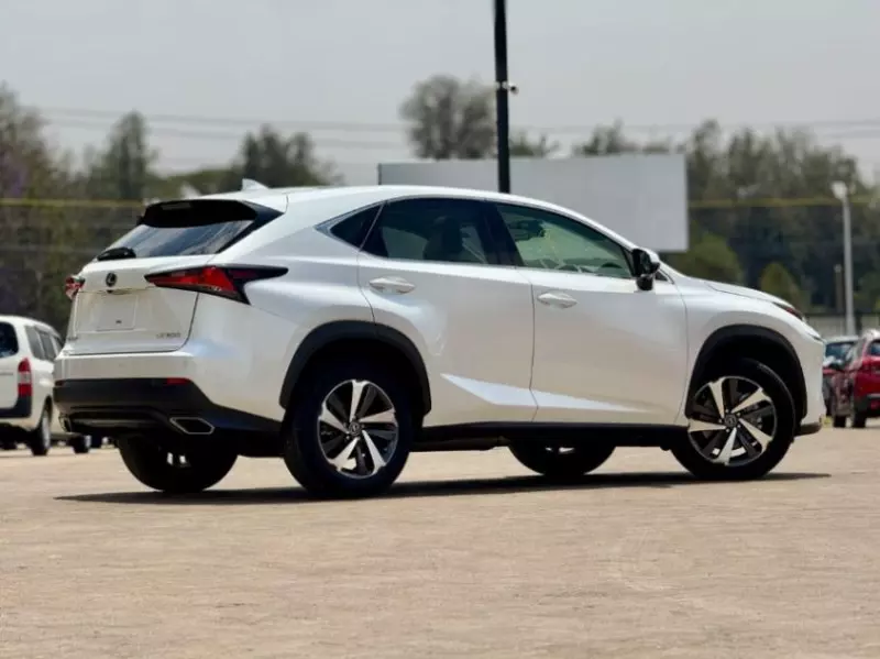 Lexus NX 300   - 2018