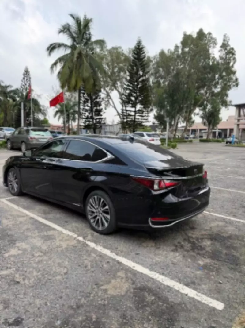 Lexus ES 300   - 2019