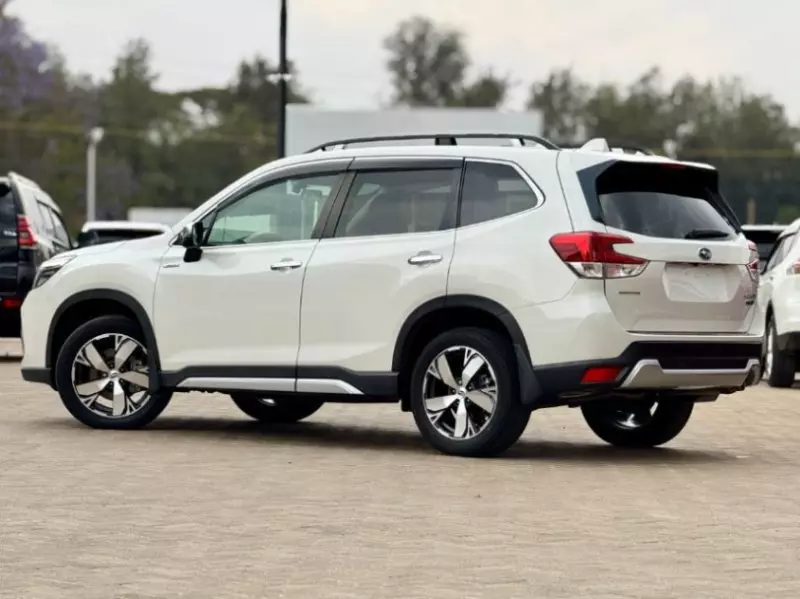 Subaru Forester   - 2019