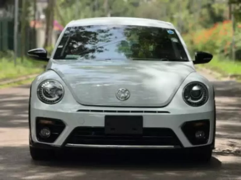 Volkswagen Beetle   - 2019