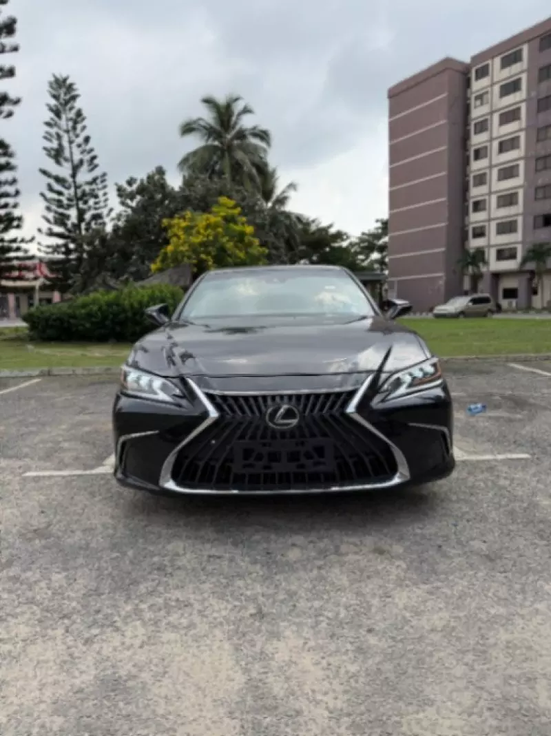 Lexus ES 300   - 2019