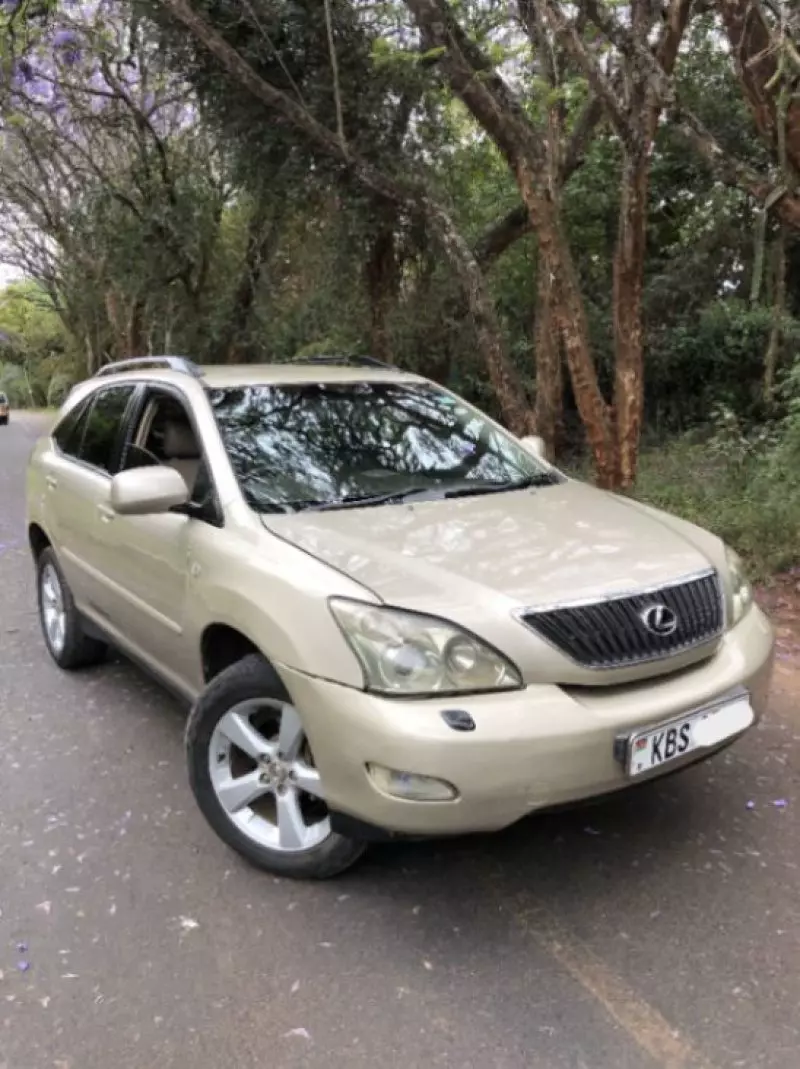 Lexus RX 300 - 2005
