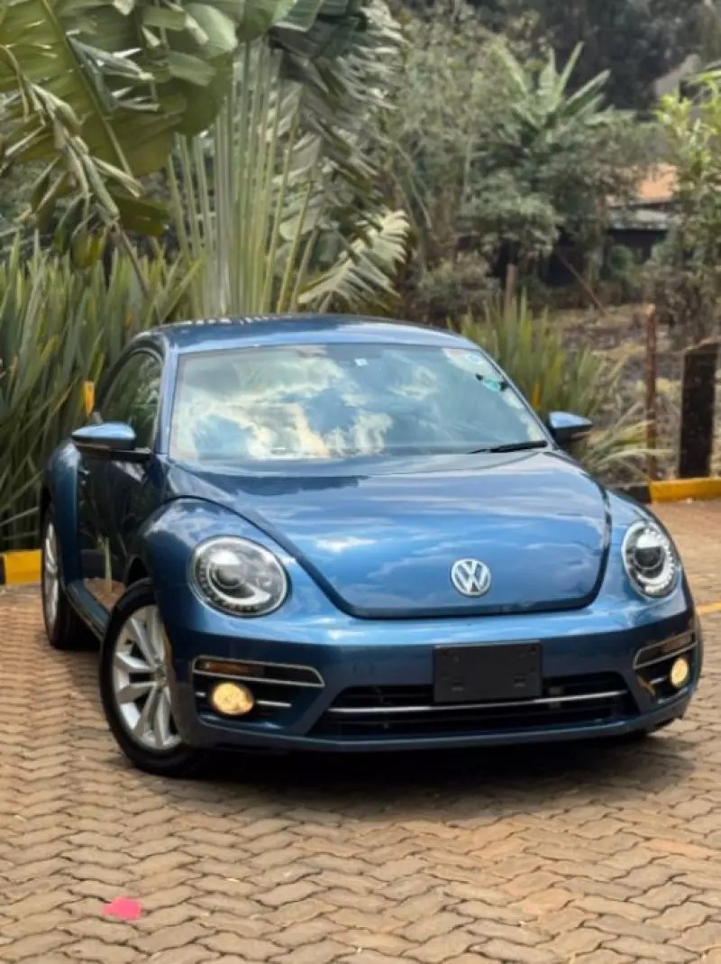 Volkswagen Beetle   - 2018