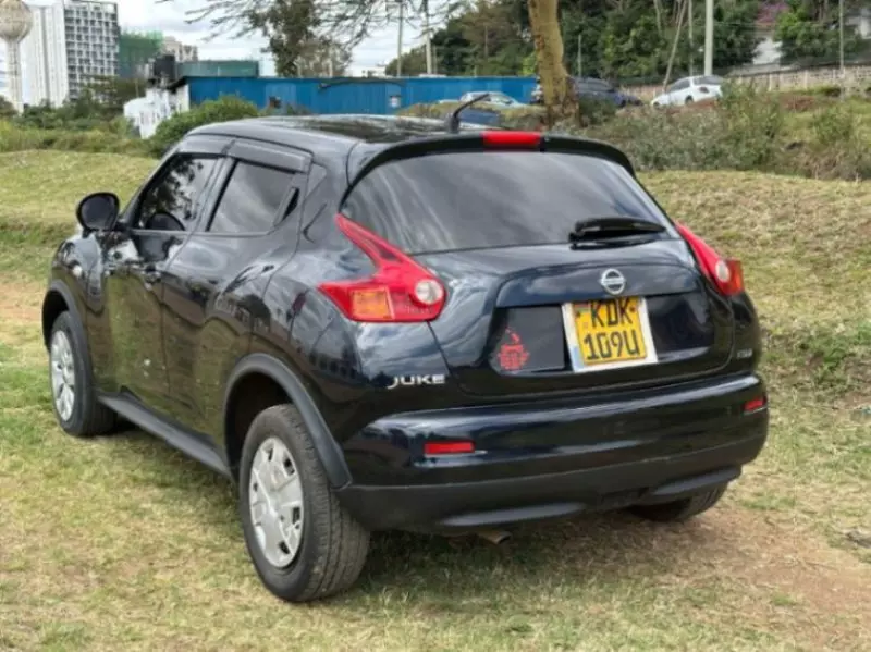 Nissan Juke   -