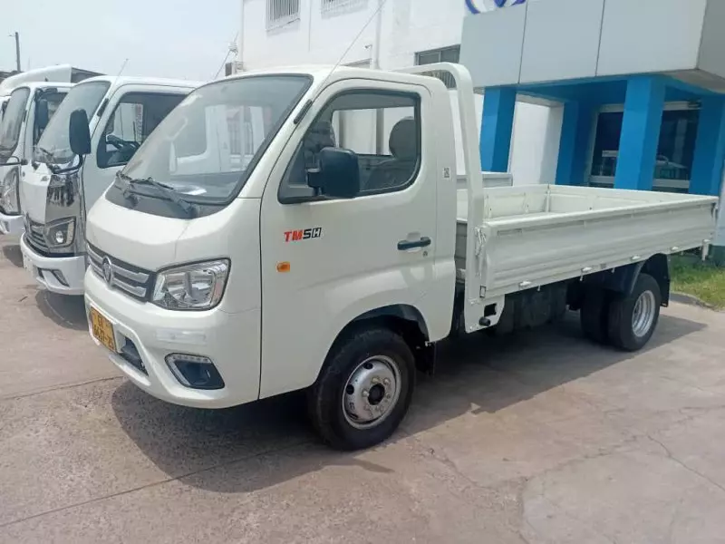 FOTON Truck Mate
