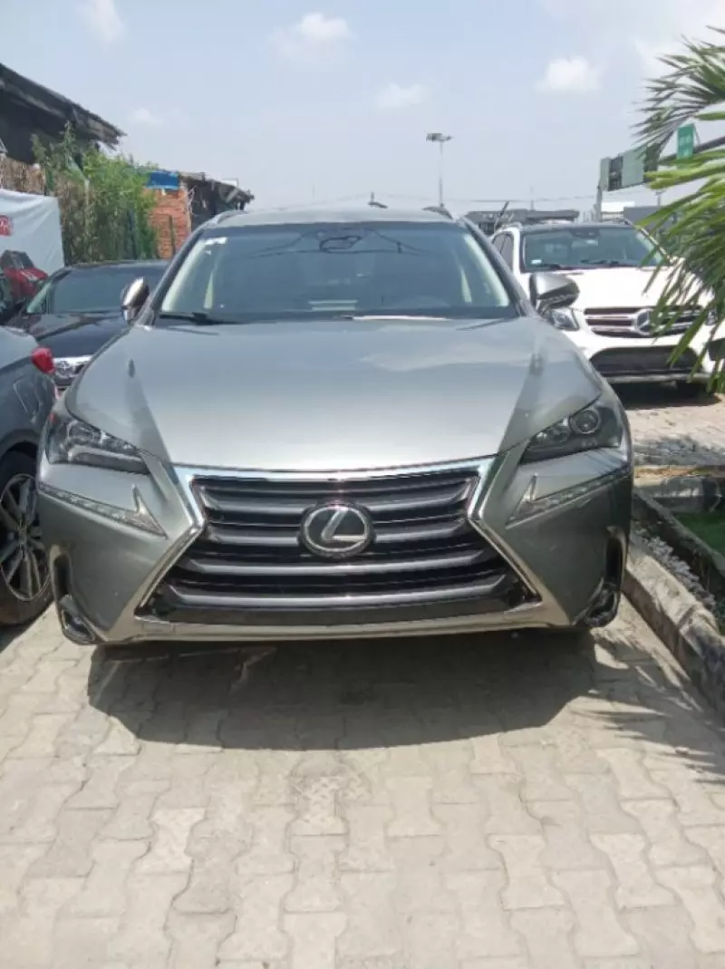 Lexus NX 300