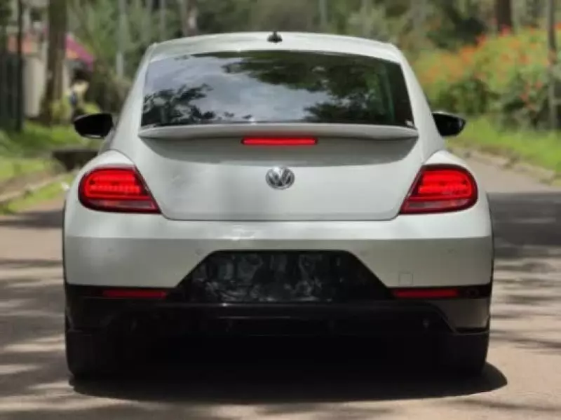 Volkswagen Beetle   - 2019