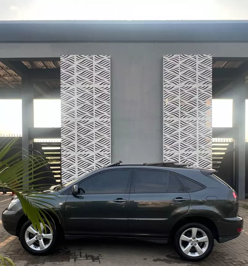 Lexus RX 330   - 2006