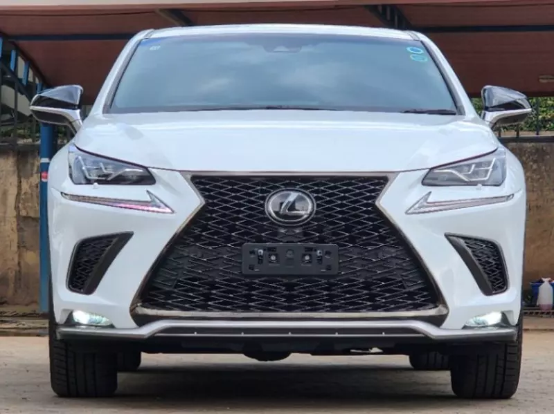 Lexus NX 300   - 2019