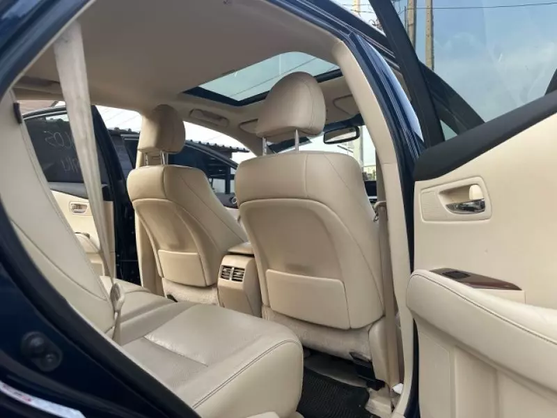 Lexus RX 330   - 2015
