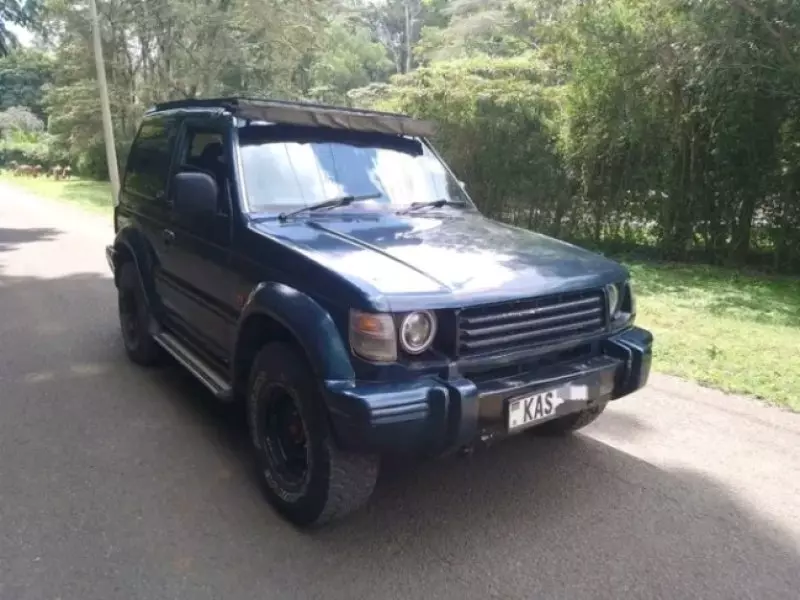 Mitsubishi Pajero - 1992