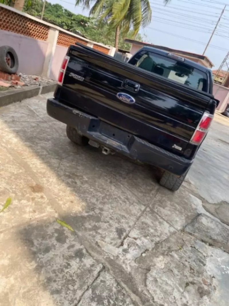 Ford F-150   - 2010