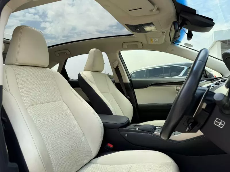 Lexus NX 300   - 2018