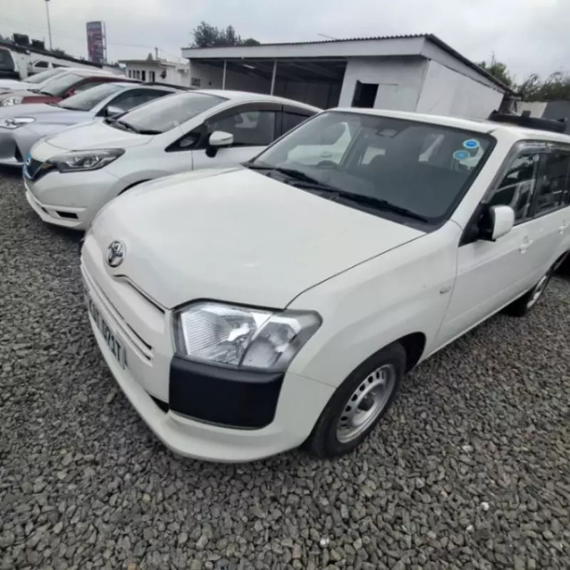 Toyota Probox    - 2019