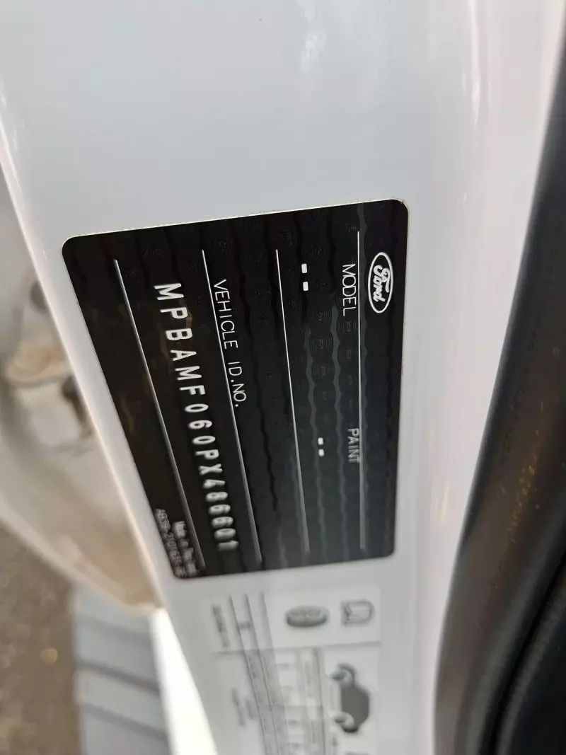 Ford Raptor   - 2024